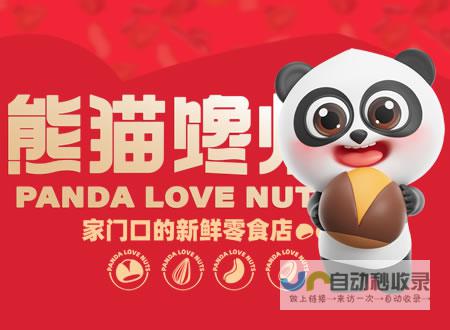 大连专业网站制作：提升品牌形象，助力大连企业发展